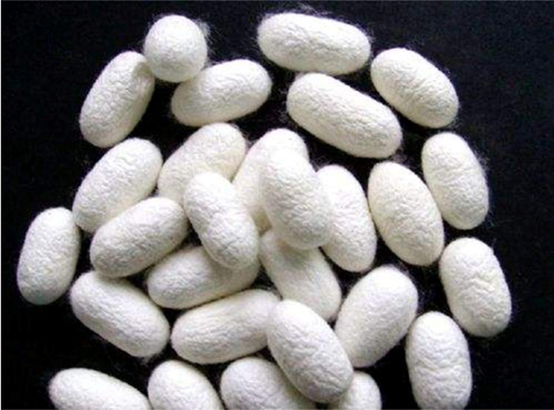 ͬ���ǽz�����W�_���{ʲô���f�������R����