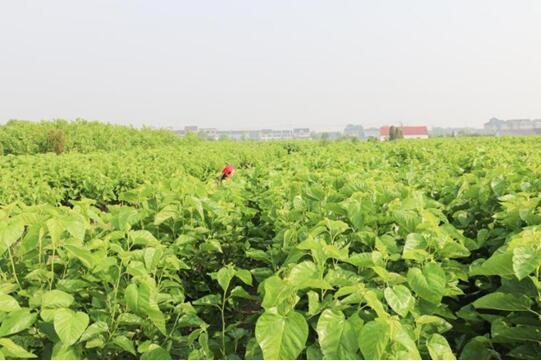 �X�ʽz�I�@��2017�Ї��Ҽ��Ӽ��\��Ʒ�ƪ�(ji��ng)�����I(y��)��(n��i)������ϵ�y(t��ng)�x���ЌmԷ�Q�z��