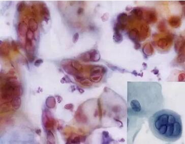 ���ϴ���ӣ��������ךW���M�ھ�ϴ�O���ꑌ�������Ҽ�