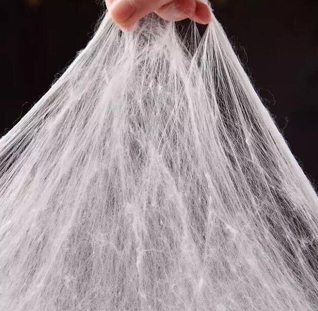 Ϧ�̽z�I�W(xu��)�á������f