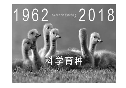 ����Ҽ����m�����q���¾��p��������