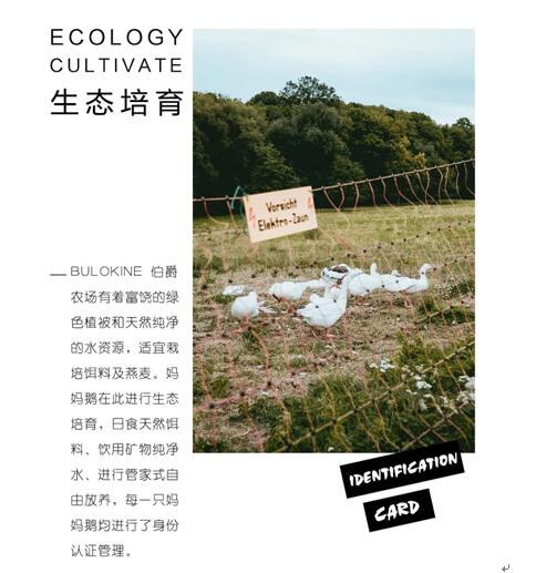 ����Ҽ����m�����q���¾��p��������