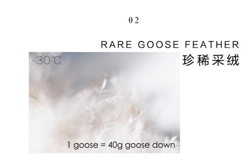 ����Ҽ����m�����q���¾��p��������