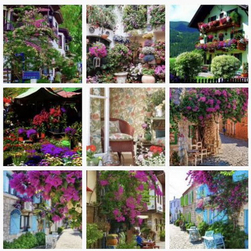 С�[�T��������D(zhu��n)����Ȧ�����cҪ�󲻿�����������ƽ