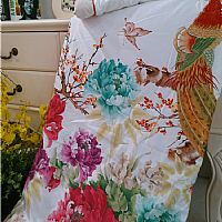 ��(gu��)ɫ����2