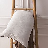 �p���w�S��