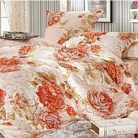 �ِ�(��i)����(ji��)