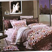 ��˹���ţ��ϣ�