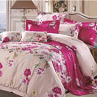 7035-7036�w�w����