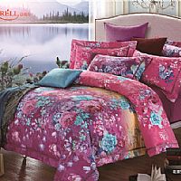 �����R-�����(m��ng)t