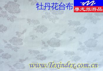 ĵ�����_(t��i)��