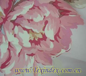 ӡ����Ƥ�q