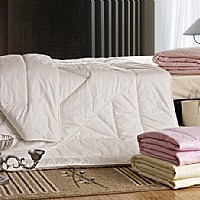 ���{(di��o)