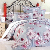 �������(m��ng)