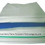 ��ȼ����