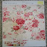 ȫ��Ⱦɫ��ӡ��