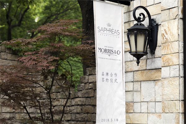 ���������Ī��˹��Morris���c�zܽ��(li��n)�����_��(chu��ng)�Ҿ�IP�r��