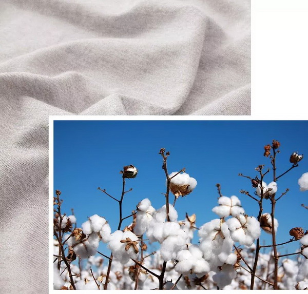 COMOLIVING�Ƴ��~������˯���������ߵ�����ęn