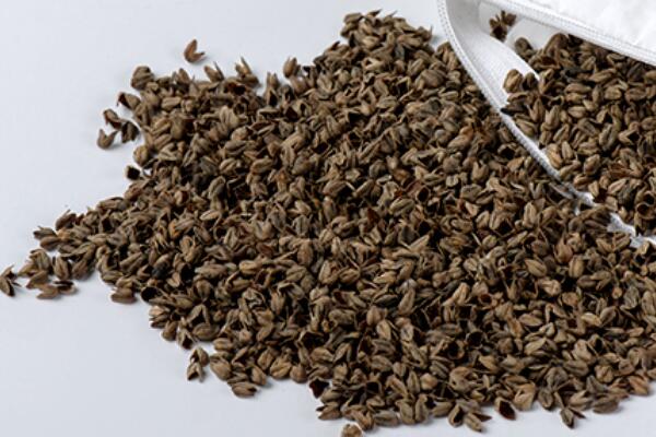 ��������Ȼ���������ѻ��Ҽ��ĸ�ɽ���w������s�ߴ����﷦����