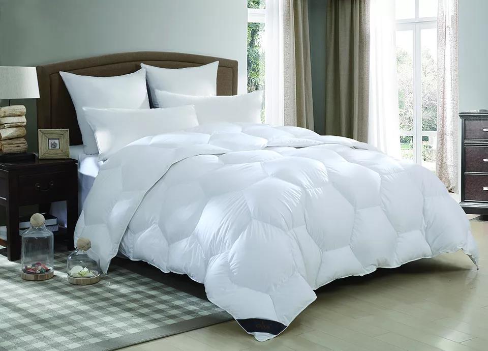 ����Ʒ�Z�q������(bi��o)��(zh��n)���_(t��i)���쿴�����I(m��i)�ı����_(d��)��(bi��o)�˛](m��i)��