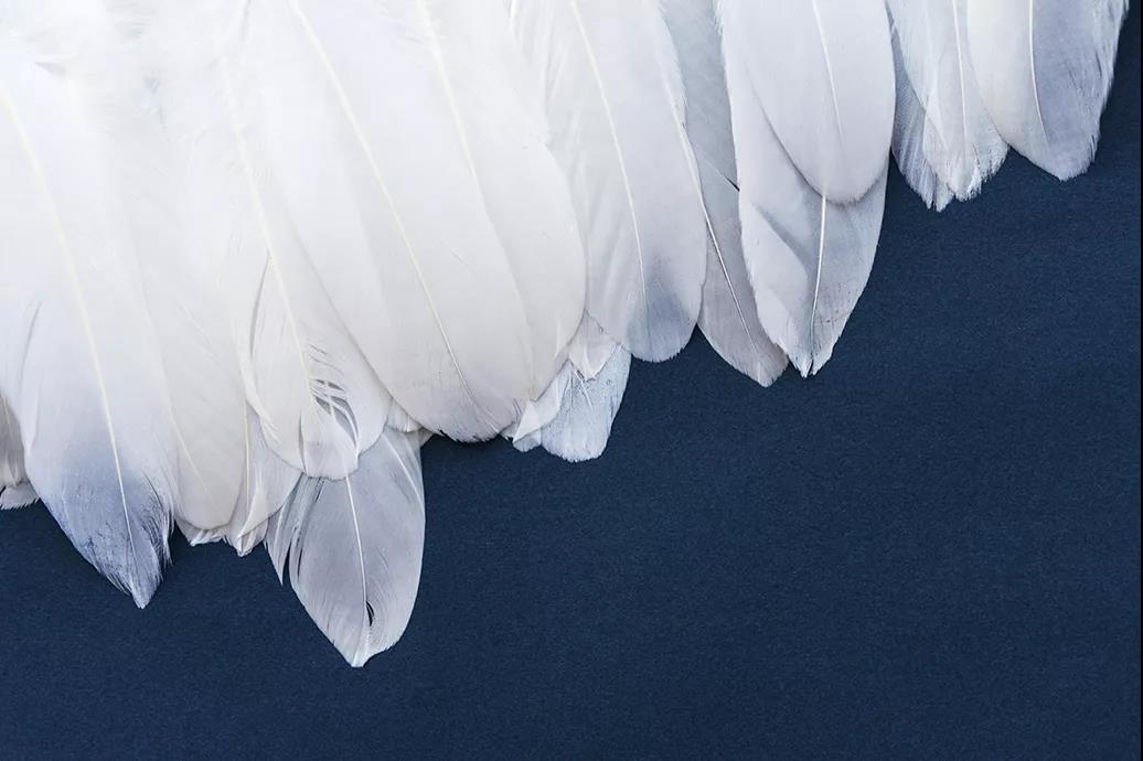 ����Ʒ�Z�q������(bi��o)��(zh��n)���_(t��i)���쿴�����I(m��i)�ı����_(d��)��(bi��o)�˛](m��i)��