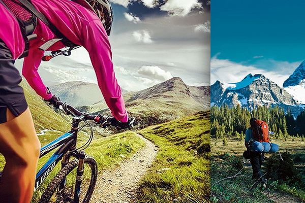 �����w�S���Ƴɹ������ܿ��������؜ر����{(di��o)����������ʲô�W����