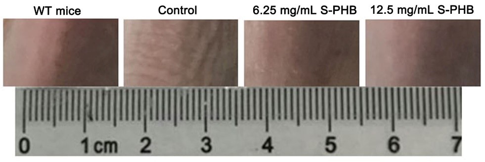 ������V�V��������Ʒ���о����l(f��)չڅ��(sh��)